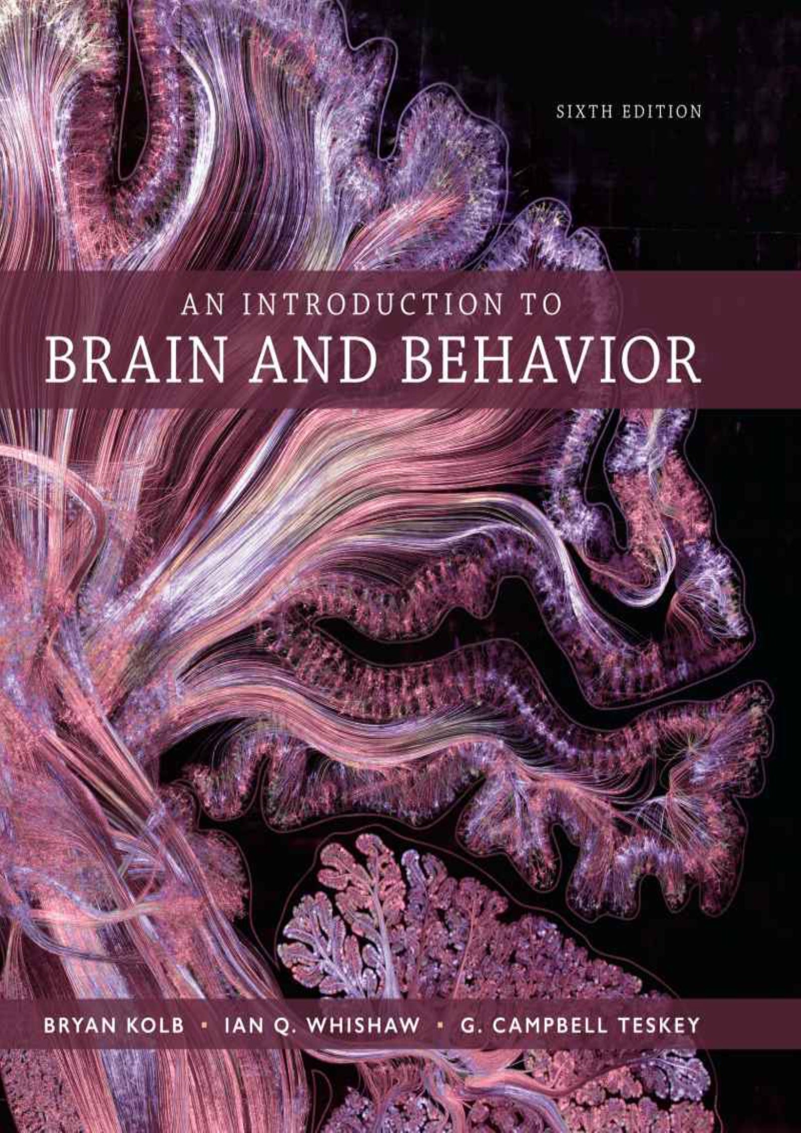 An Introduction to Brain and Behavior 6th Edition