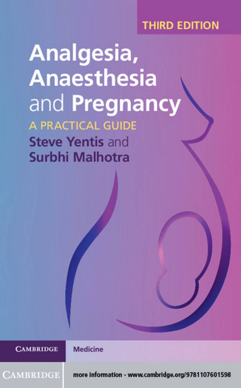 Analgesia Anaesthesia and Pregnancy A Practical Guide 3rd Edition