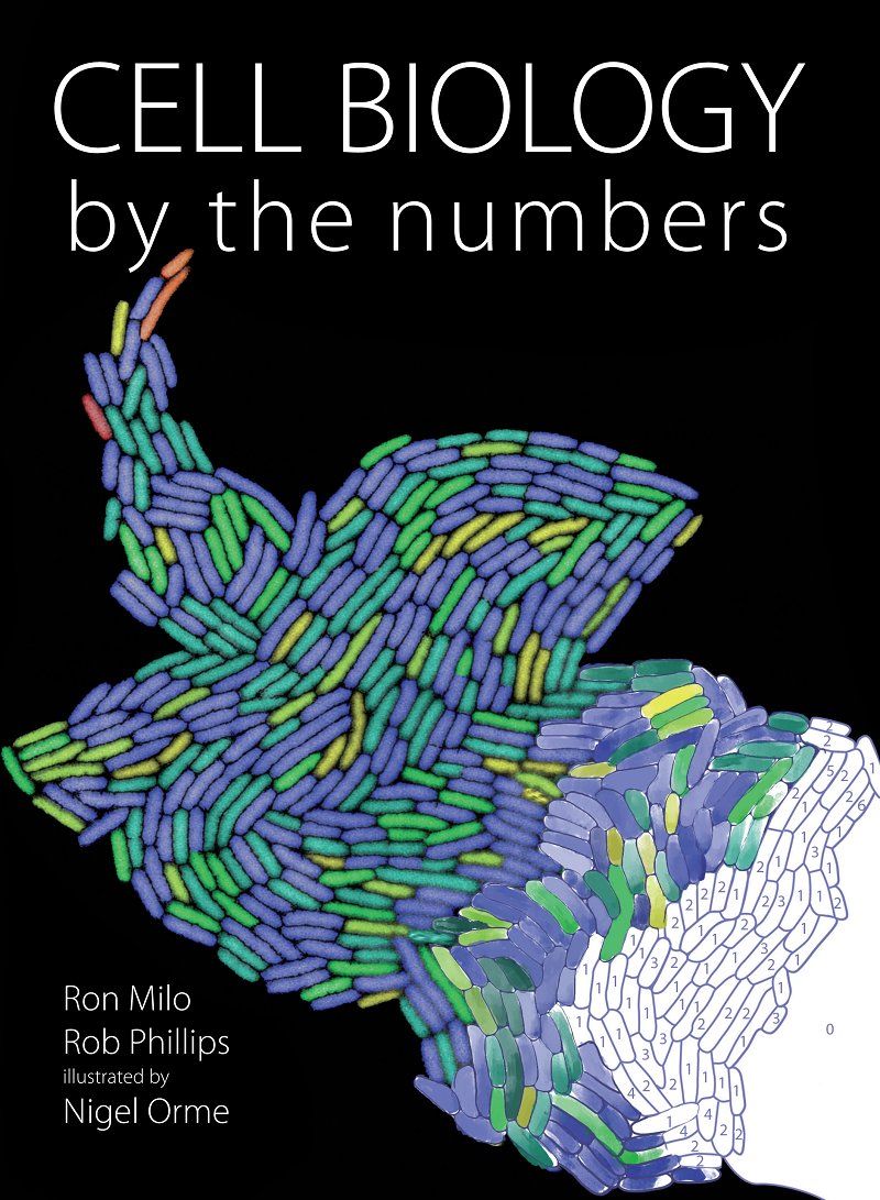 Cell Biology by the Numbers