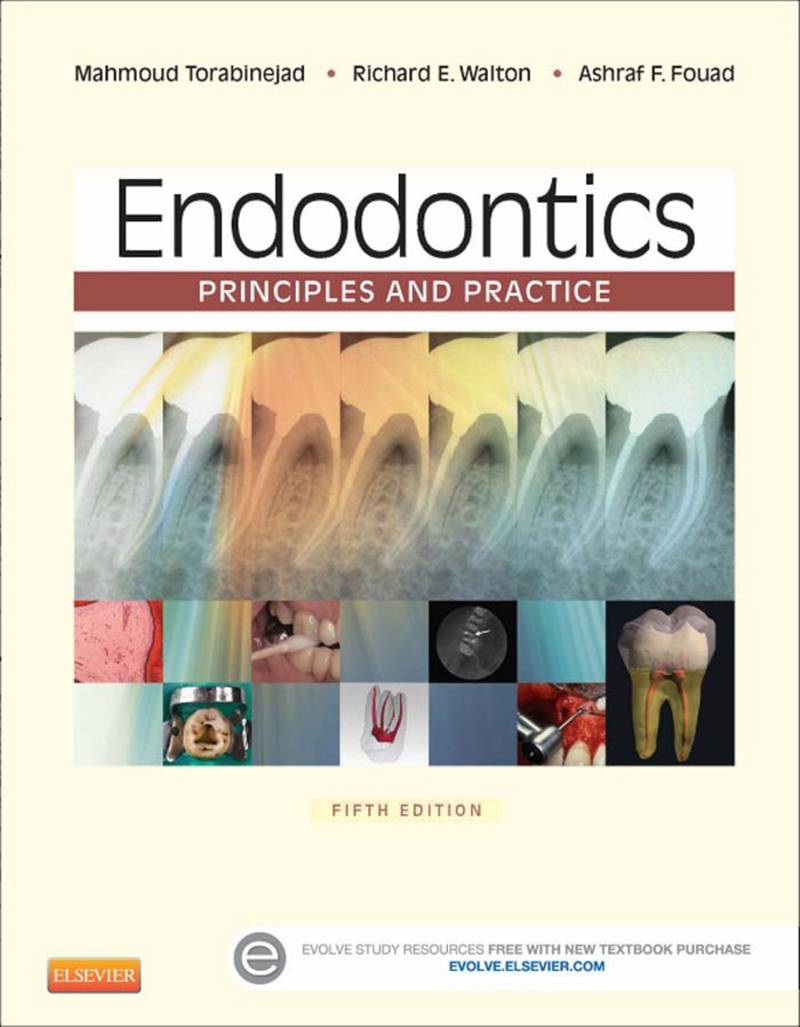 Endodontics Principles and Practice 5th Edition