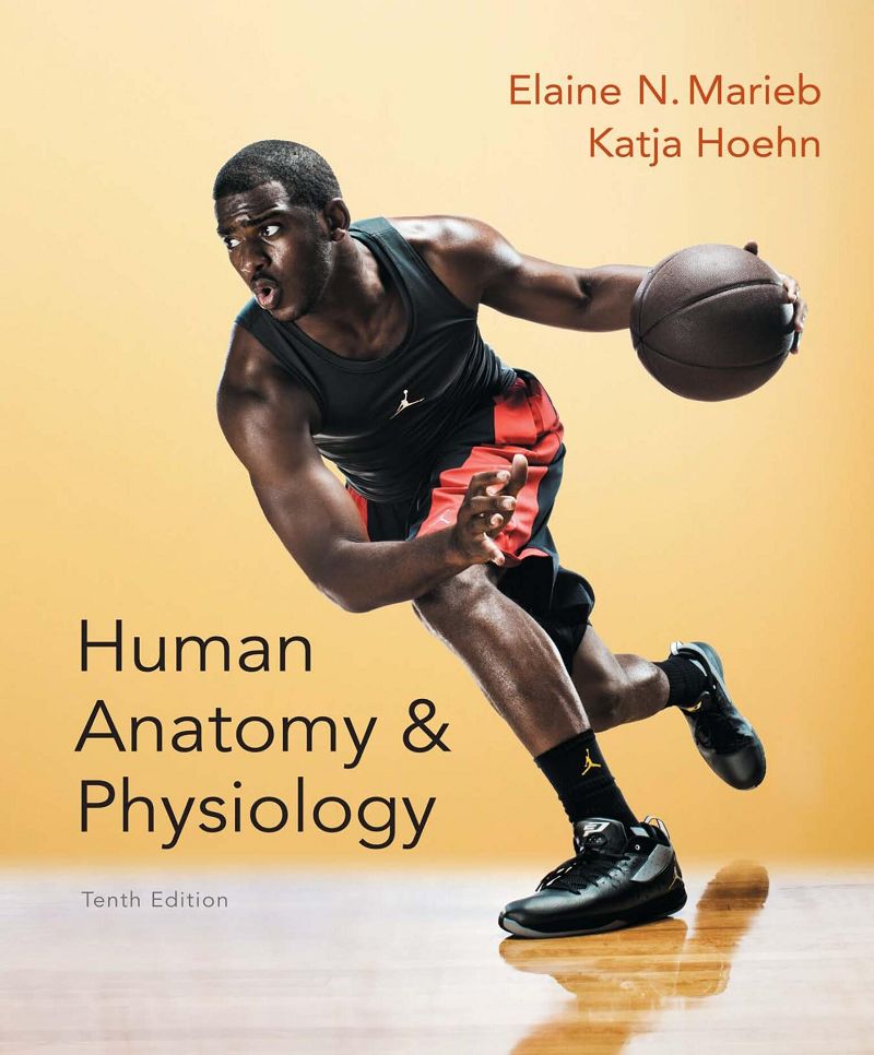 Human Anatomy & Physiology 10th Edition