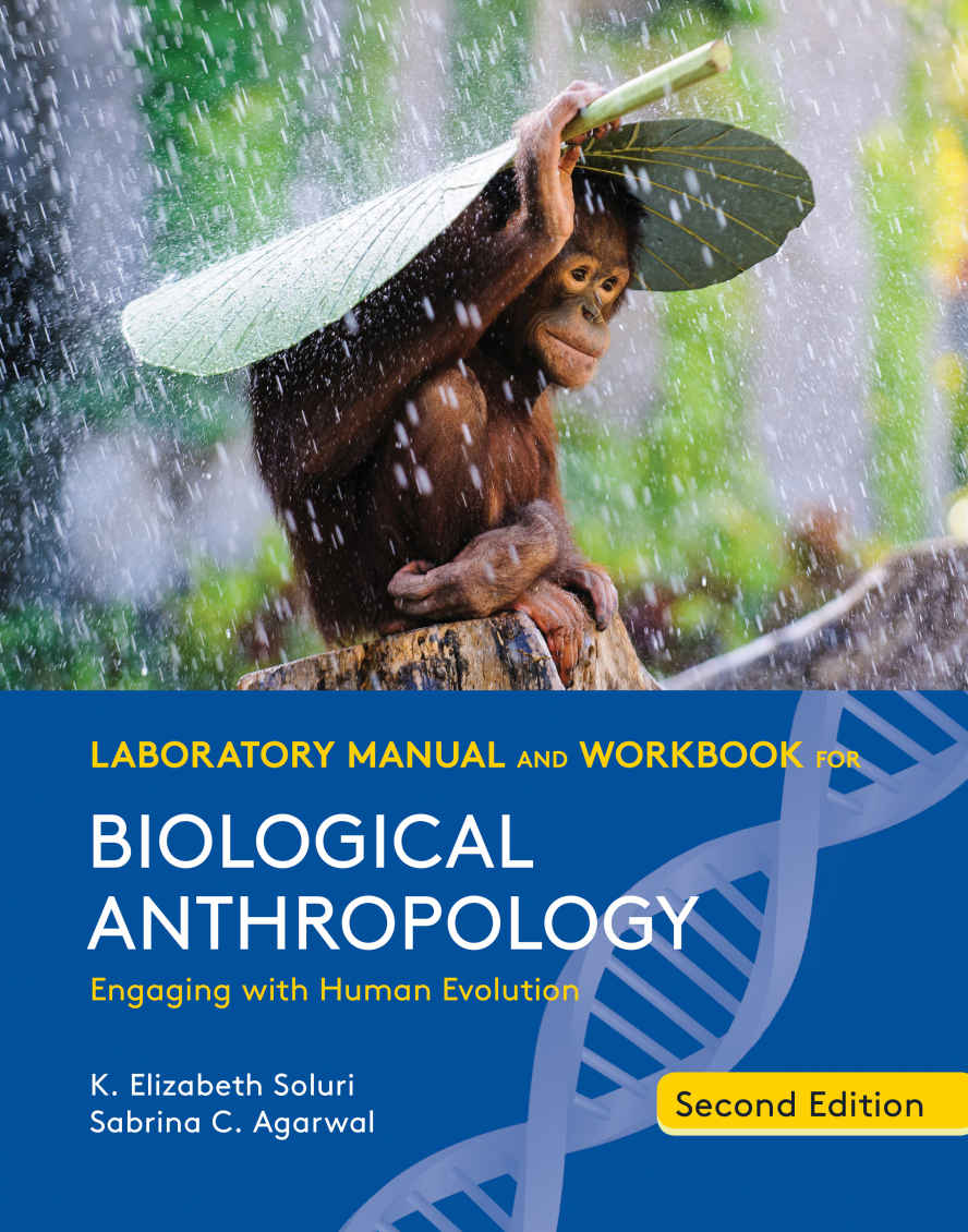 Laboratory Manual and Workbook for Biological Anthropology 2nd Edition