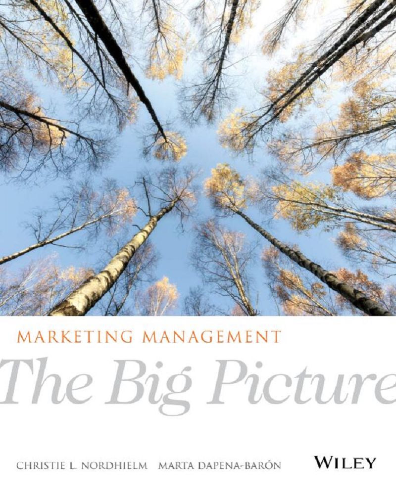 Marketing Management The Big Picture 1st Edition