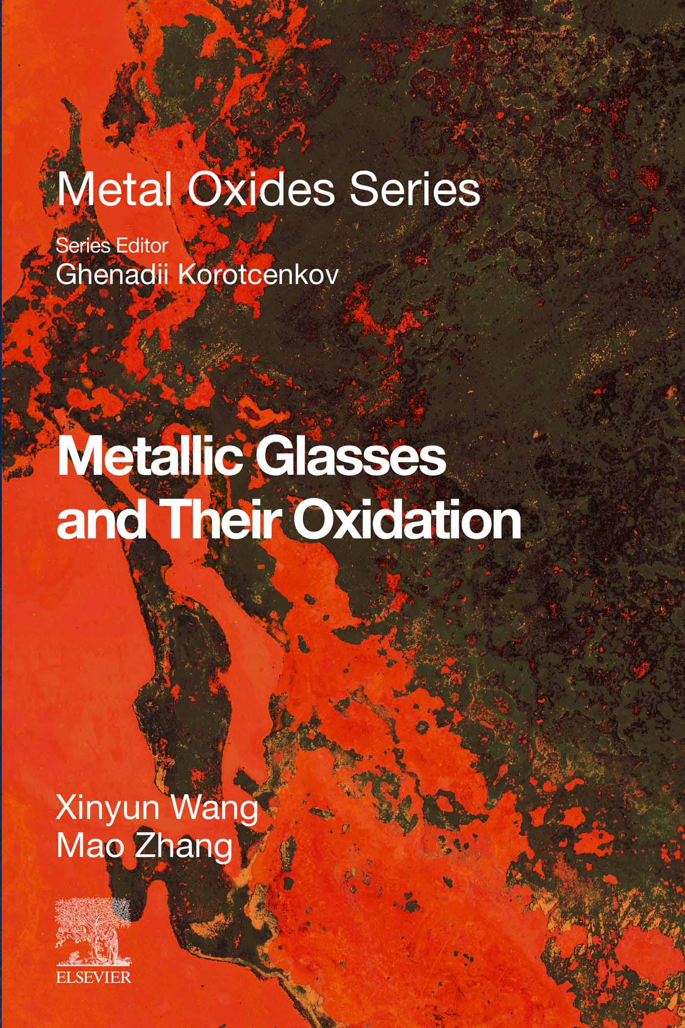 Metallic Glasses and Their Oxidation: 1st Edition