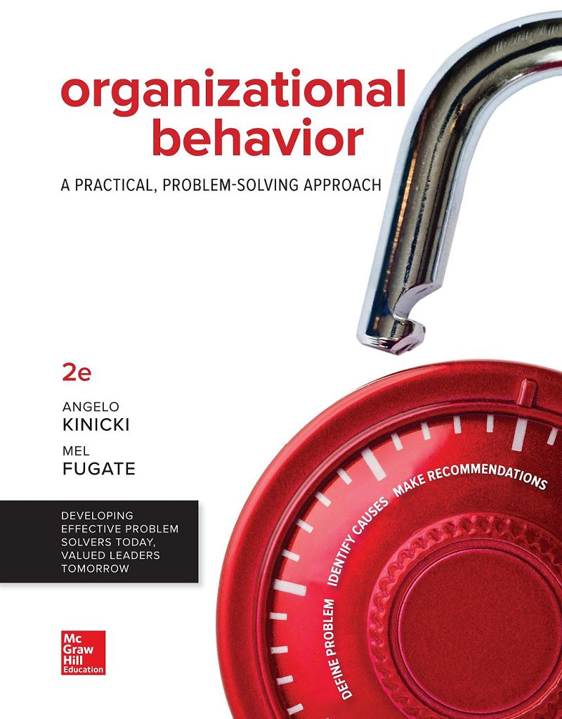 Organizational Behavior A Practical Problem-Solving Approach 2nd Edition