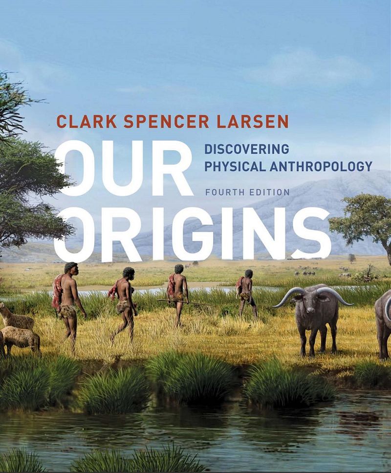 Our Origins Discovering Physical Anthropology 4th Edition