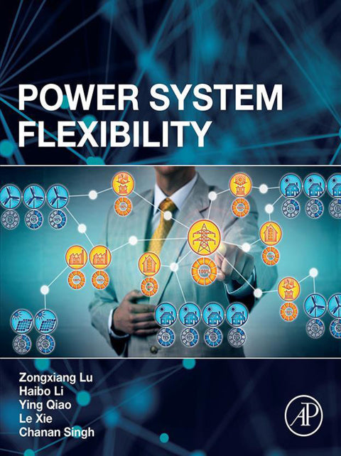 Power System Flexibility: 1st Edition