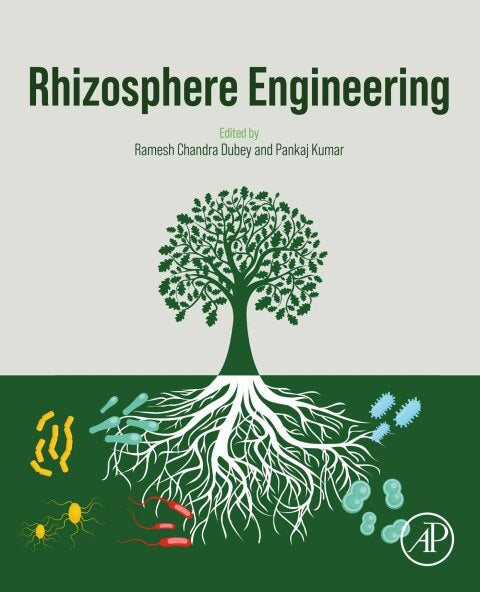 Rhizosphere Engineering: Optimizing Plant-Soil Interactions for Sustainable Agriculture